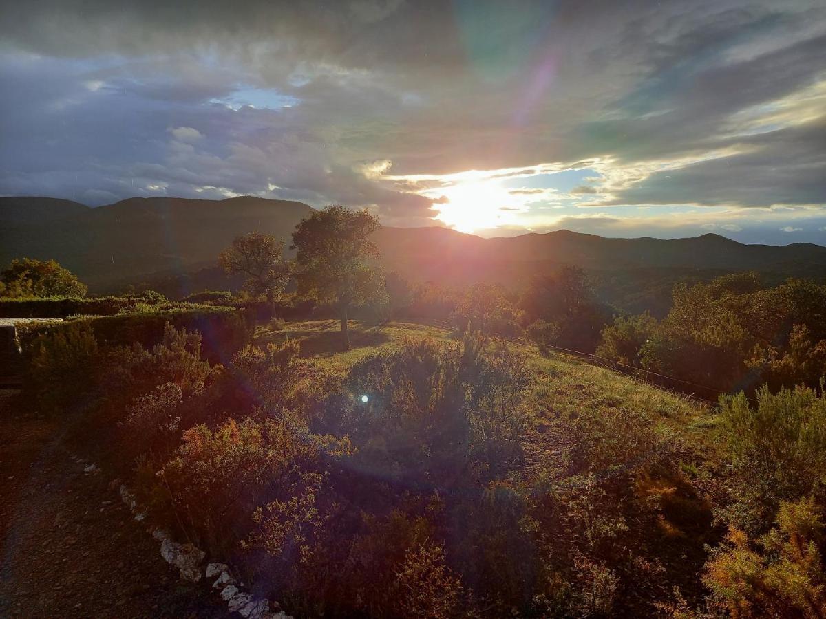 La Pantoufle Verte Montauriol  Buitenkant foto